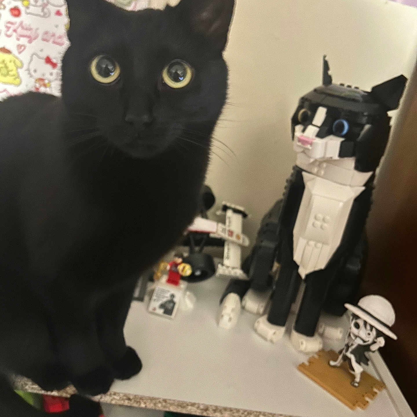 Bink is registered to the contest to win money with this photo: black_cat, cat, toy_cat, lego_cat, skeleton_figure, figurine, shelf, toys, indoor, curious, wide_eyes, black_fur, white, small_figure, plastic_toys, decor, collection, closeup, animal, pet