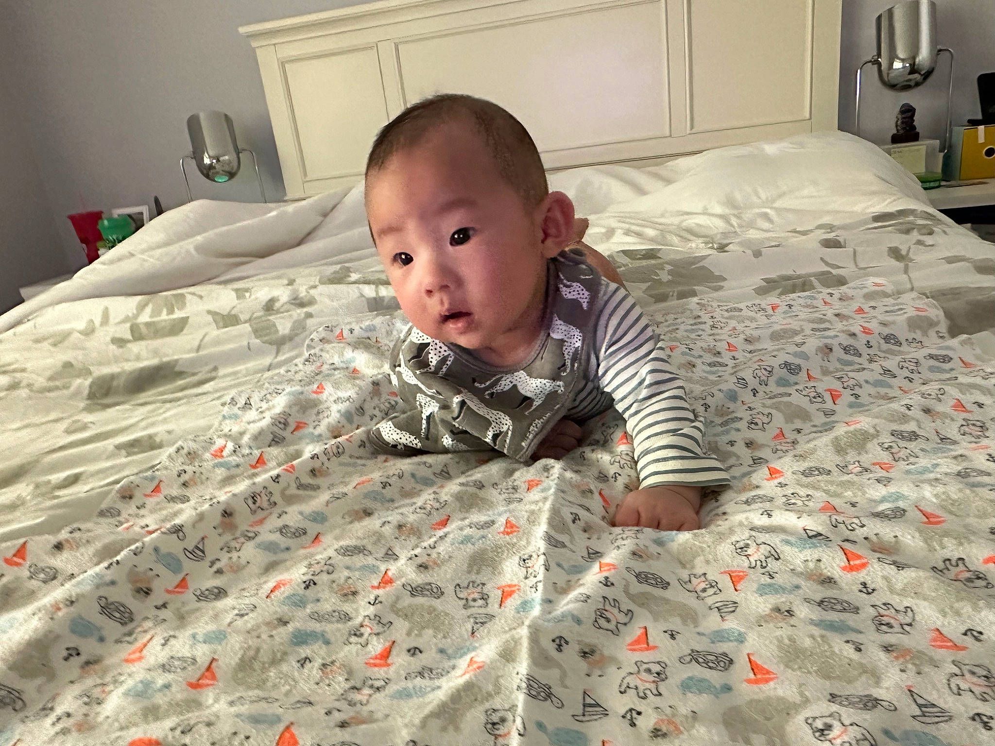 Tyler is registered to the contest to win money with this photo: baby, bed, bed_sheet, bedding, bedroom, carpet, child, comfort, crawling, floor, flooring, fun, grey, hardwood, kitchen_appliance, linens, pattern, person, room, surprise