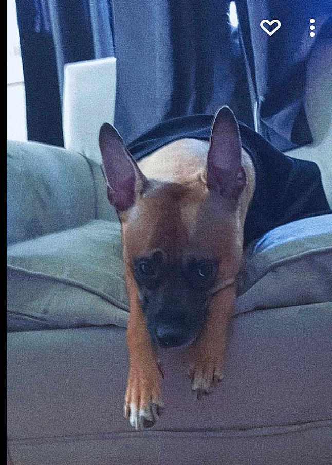 Nala