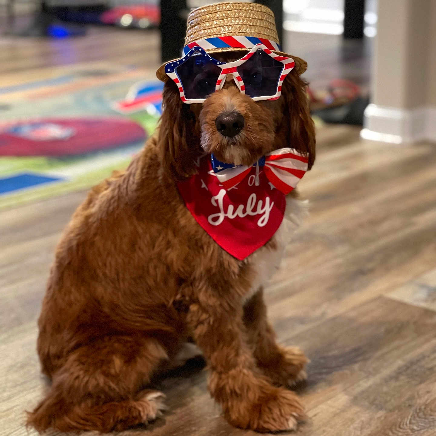 Ollie joined the competition — help win amazing prizes! accessories, animal, canine, clothing, cockerspaniel, costume, dog, glasses, hardwood, hat, headband, hound, person, pet, poodle, puppy, strap, sunglasses, terrier, wood