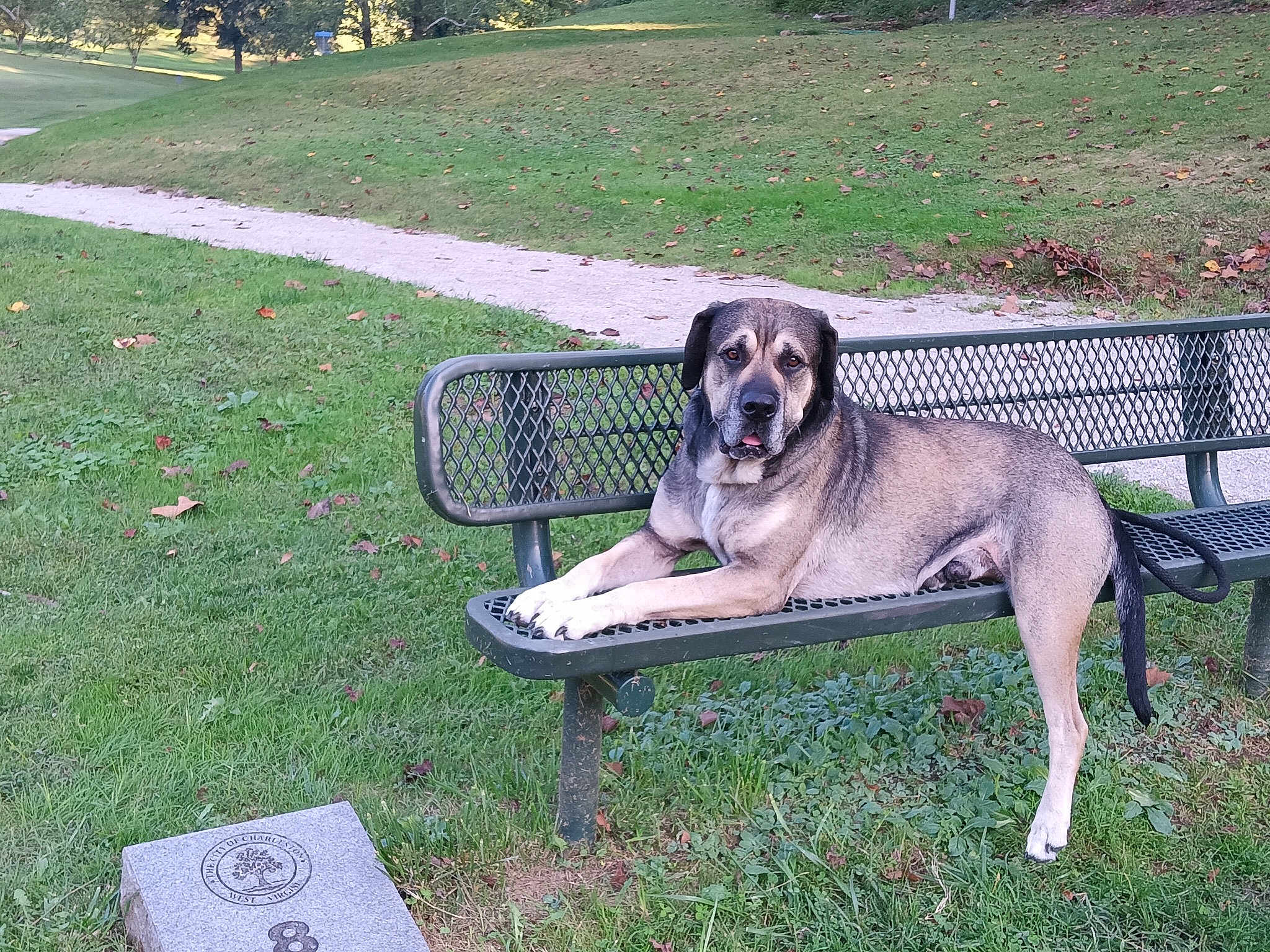 Max