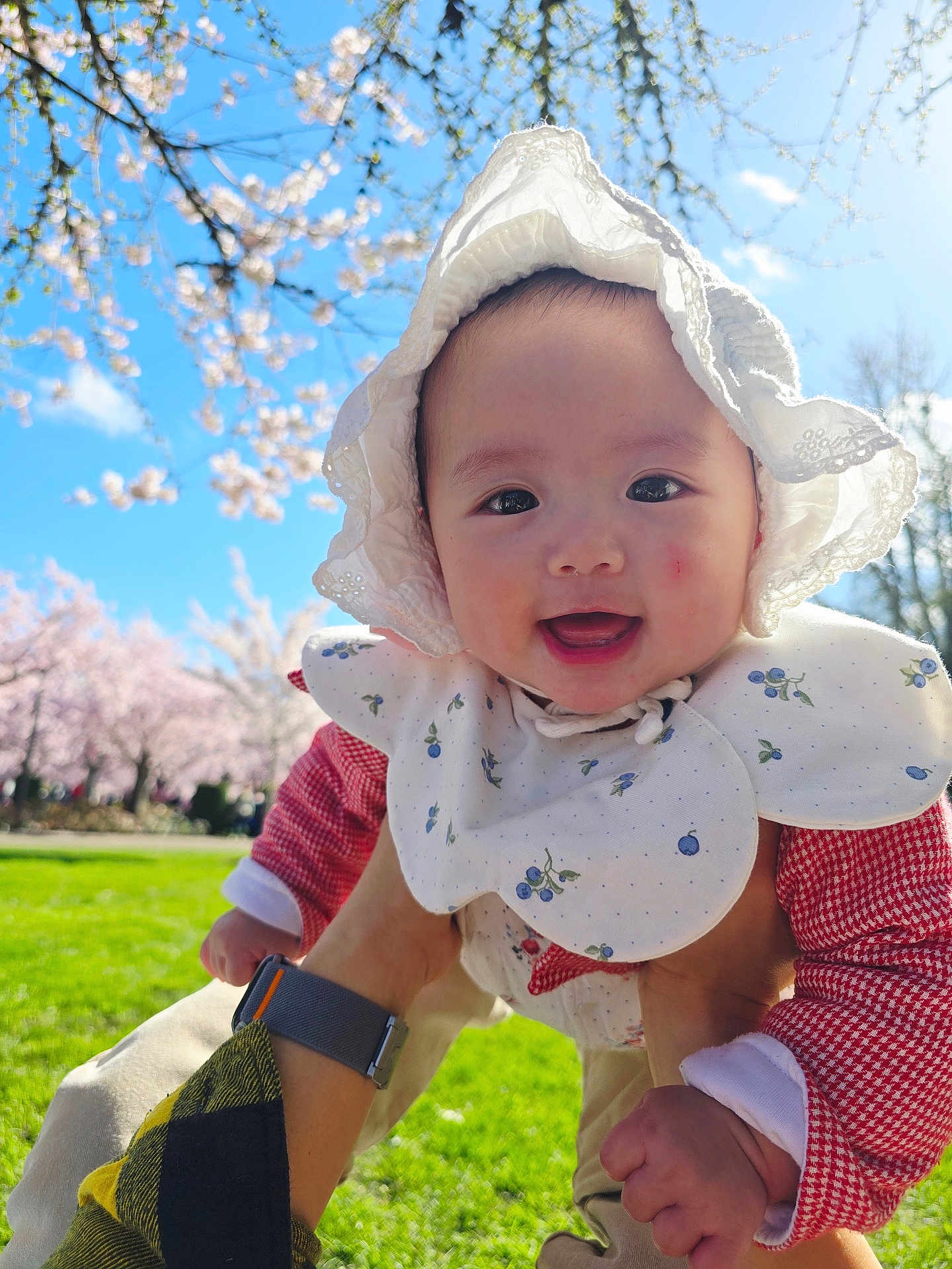 Alina joined the competition — help win amazing prizes! baby, infant, smiling, sun_hat, lace_hat, bib, outdoor, cherry_blossom, spring, grass, park, blue_sky, holding_hands, happy, portrait, face, cheeks, sunlight, playtime, cute