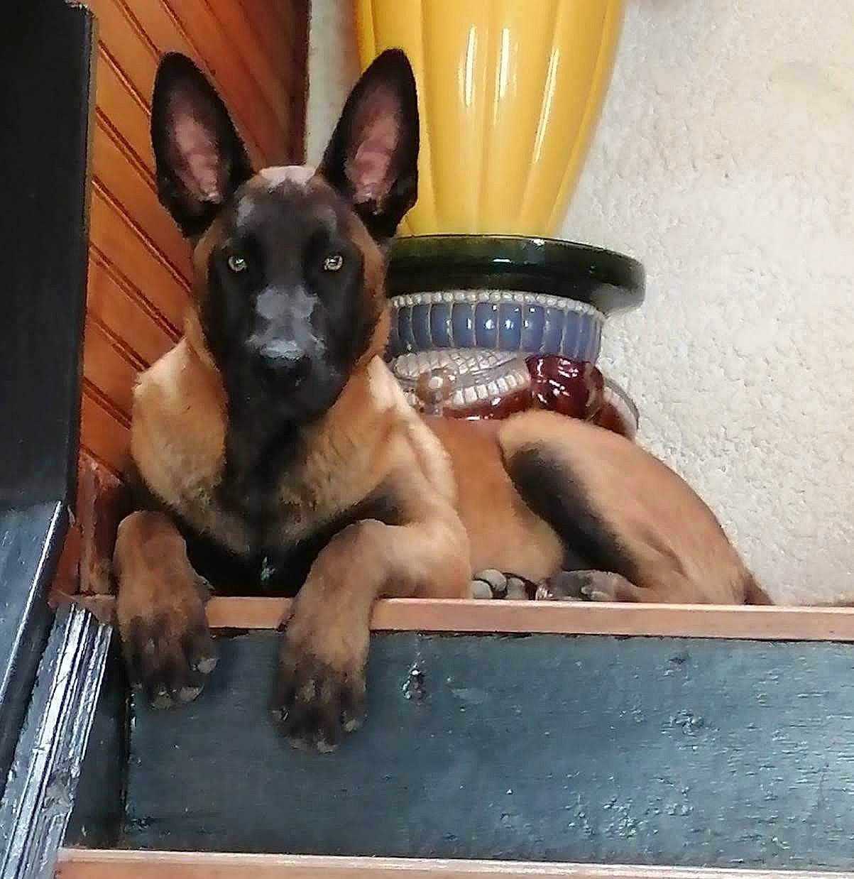 Stan