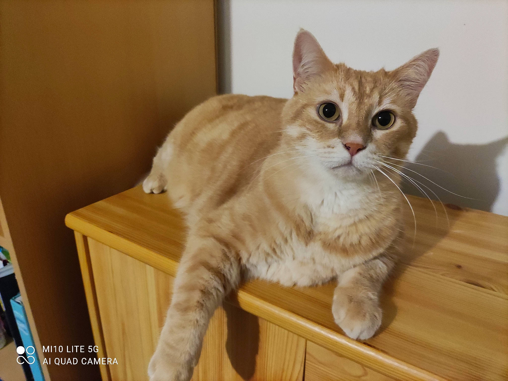 Garfield