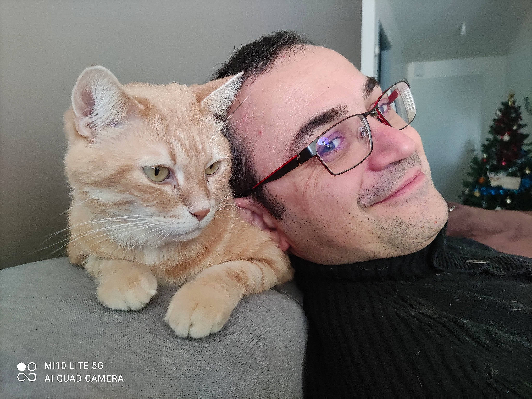 Garfield participe au concours pour gagner de l'argent avec cette photo : carnivore, cat, christmas, christmas_decoration, christmas_eve, christmas_ornament, comfort, eyewear, facial_expression, fawn, felidae, glasses, holiday, iris, mammal, small_to_medium_sized_cats, snout, vertebrate, vision_care, whiskers