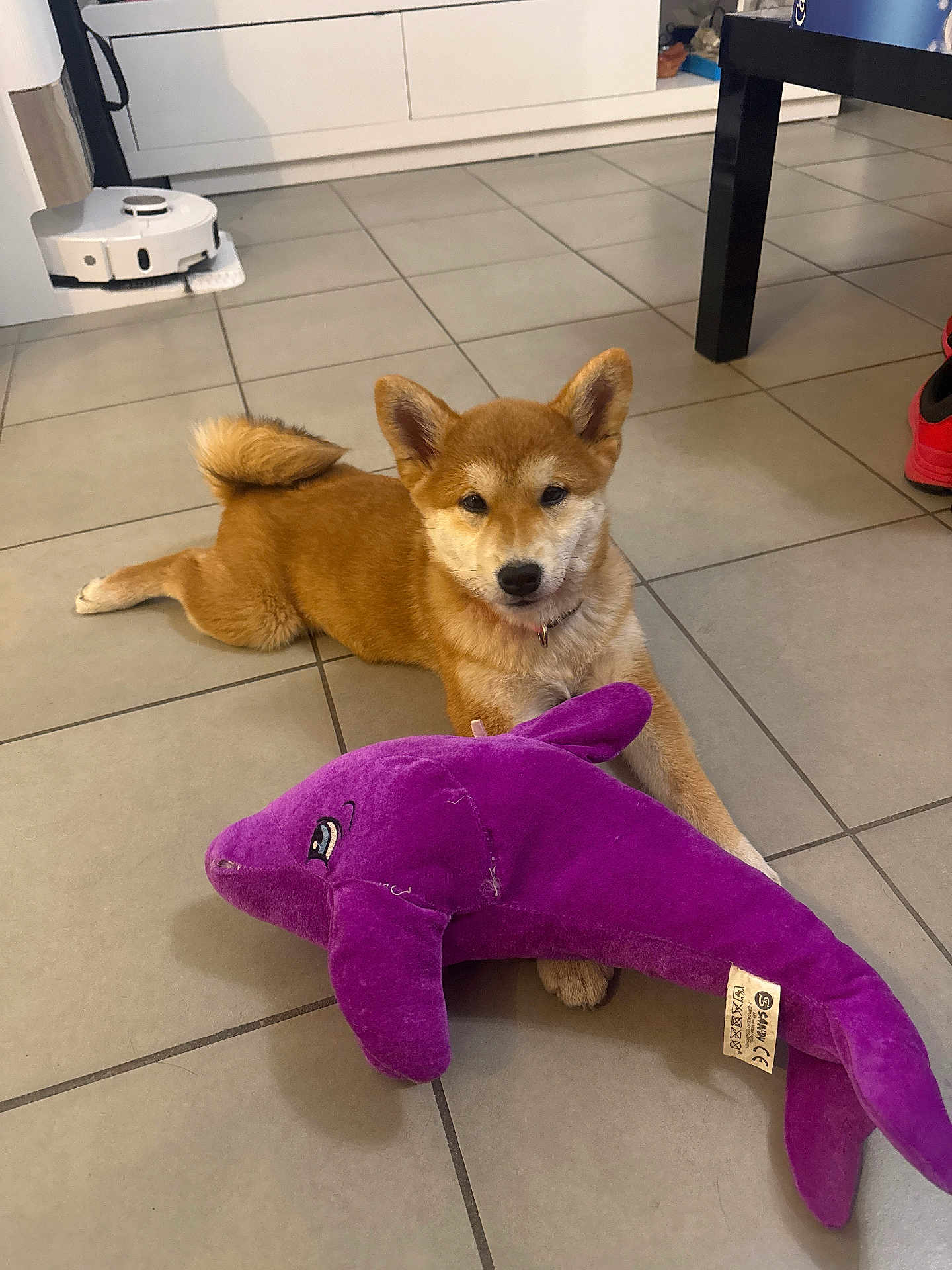 Akira