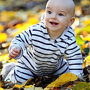 Zacharie participe au concours pour gagner de l'argent avec cette photo : baby, child, autumn, fall_leaves, outdoor, crawling, striped_clothing, smiling, happy, nature, seasonal, cute, infant, playful, bright, daylight, leaf_litter, person, hoodie, young_child