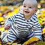 baby, child, autumn, fall_leaves, outdoor, crawling, striped_clothing, smiling, happy, nature, seasonal, cute, infant, playful, bright, daylight, leaf_litter, person, hoodie, young_child