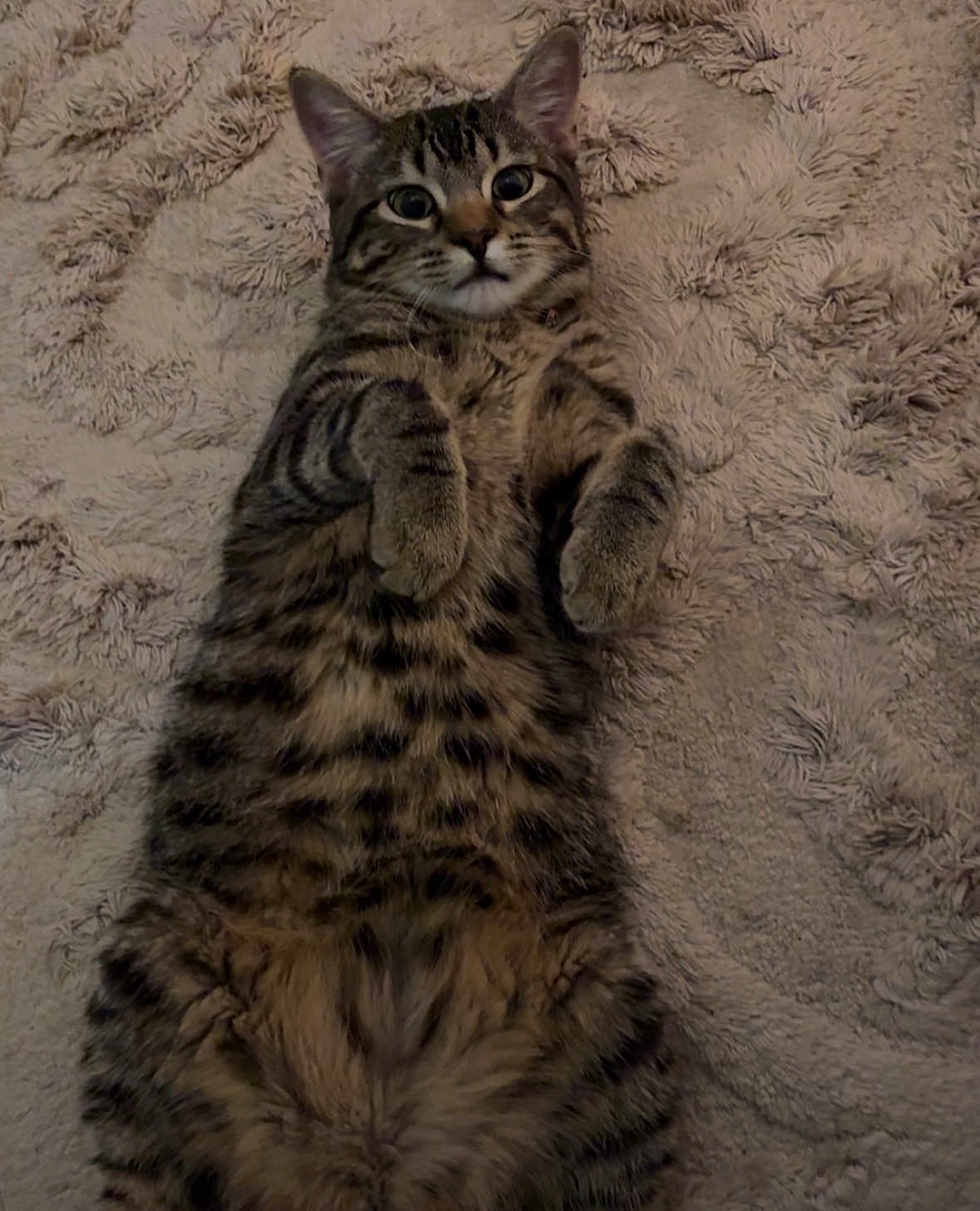 Kida