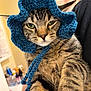 cat, tabby_cat, crochet_hat, blue_hat, pet, animal, green_eyes, fur, whiskers, ears, indoor, person_holding, close_up, portrait, cute, funny_hat, knitted, headwear, domestic_cat, expression