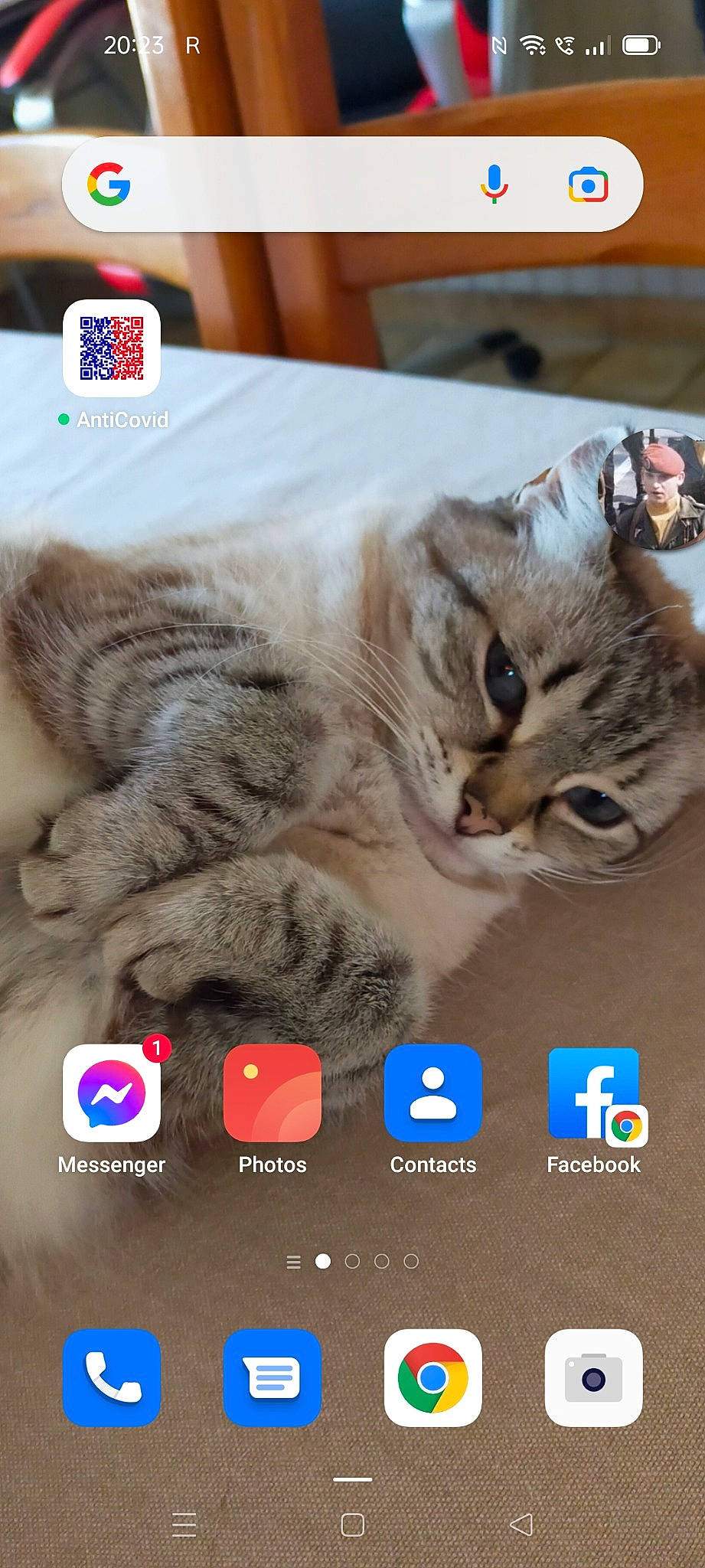 Himalaya a rejoint le concours — aidez-le/la à gagner de superbes lots ! carnivore, cat, domestic_short_haired_cat, felidae, font, fur, gadget, gesture, logo, multimedia, paw, photo_caption, screenshot, small_to_medium_sized_cats, whiskers