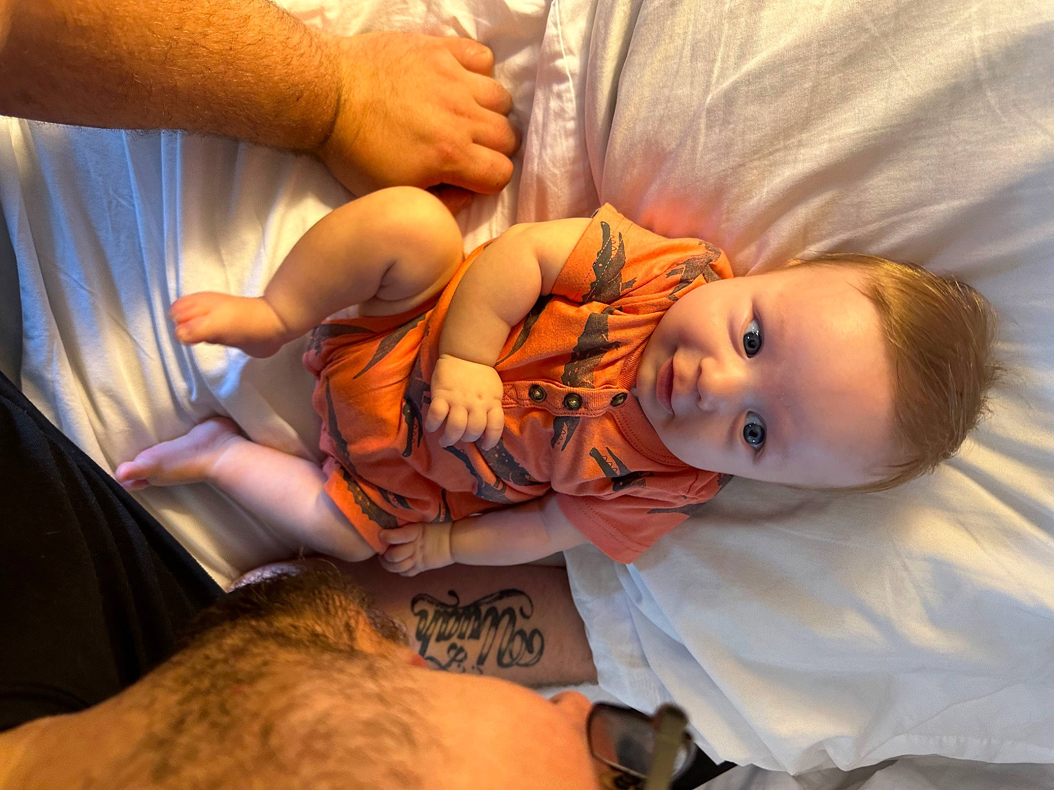 Kingston is registered to the contest to win money with this photo: abdomen, arm, chest, child, comfort, elbow, finger, gesture, hand, human_leg, joint, knee, mouth, muscle, person, skin, smile, thigh, toddler, trunk