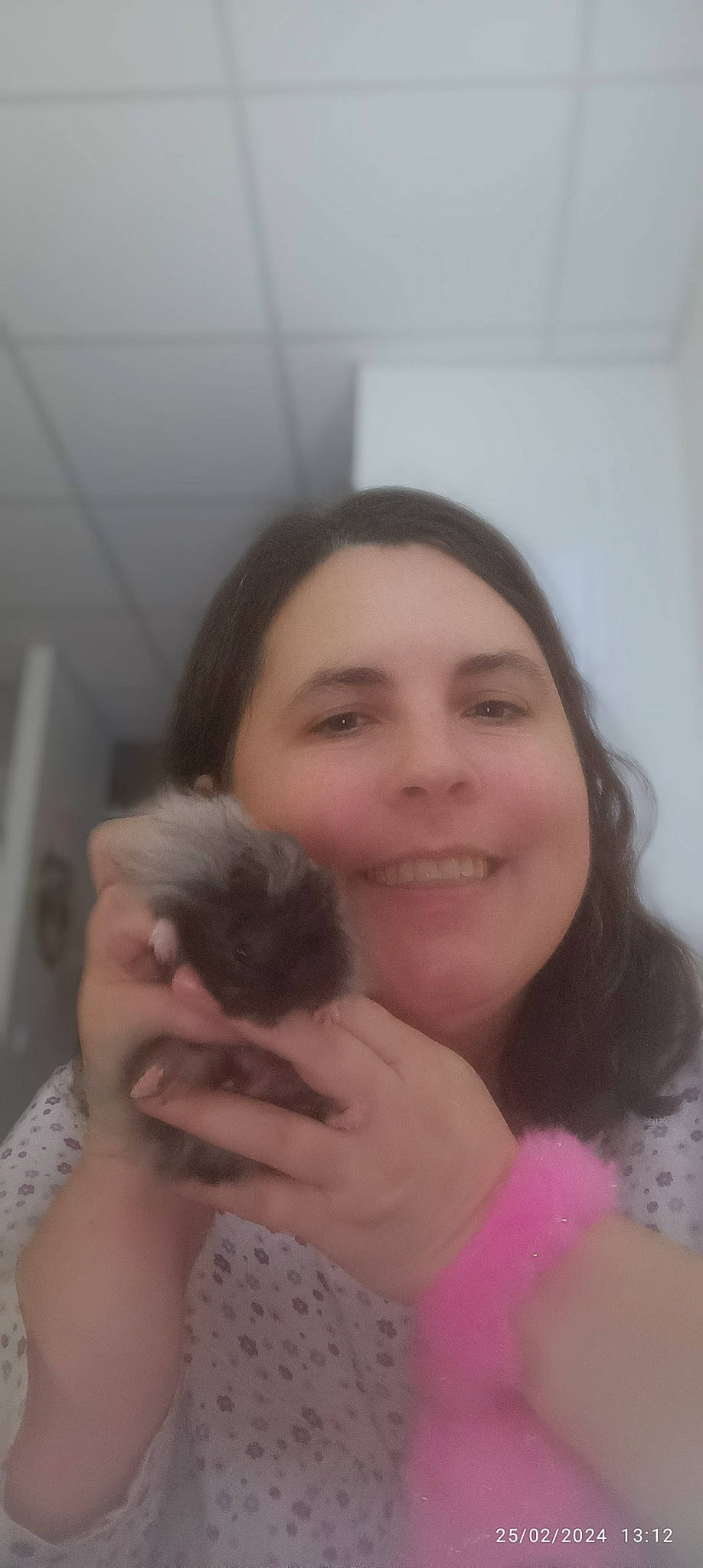 Trésor Dobby a rejoint le concours — aidez-le/la à gagner de superbes lots ! companion_dog, eyelash, fawn, felidae, finger, fun, fur, gesture, happy, nail, nose, rodent, skin, small_to_medium_sized_cats, smile, thumb, vertebrate, whiskers