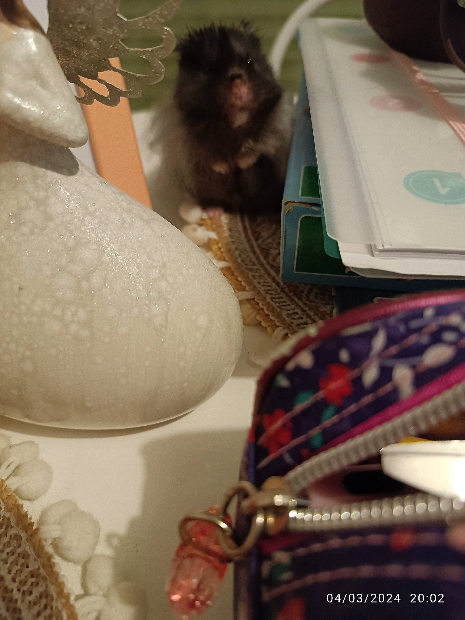 Trésor Dobby a rejoint le concours — aidez-le/la à gagner de superbes lots ! audio_equipment, beard, bridal_accessory, eyewear, fashion_accessory, flooring, formal_wear, fur, gadget, glass, gown, jewellery, laptop, mannequin, metal, pattern, room, sitting, textile, toy