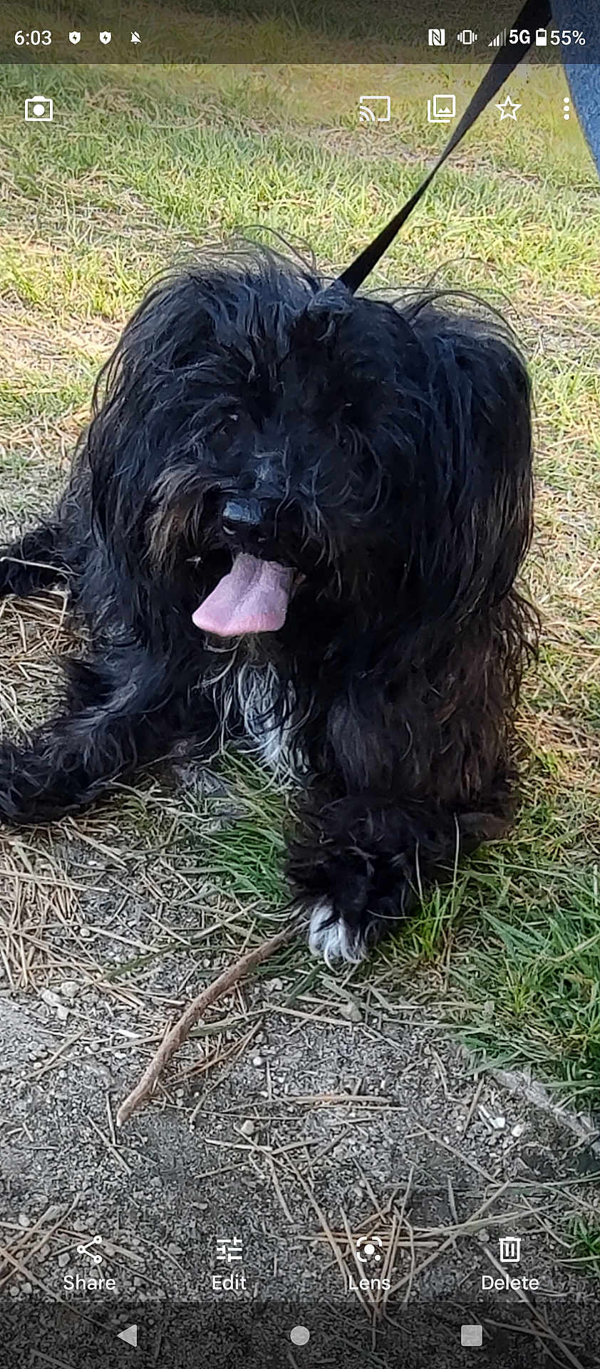 Mia