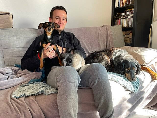 Voyou participe au concours pour gagner de l'argent avec cette photo : bookcase, canidae, carnivore, comfort, companion_dog, couch, dog, dog_breed, fur, furniture, lamp, lap, living_room, picture_frame, room, shelf, sitting, sporting_group, television, working_animal