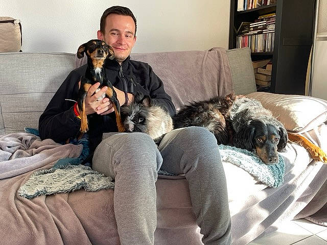 Voyou a rejoint le concours — aidez-le/la à gagner de superbes lots ! bookcase, canidae, carnivore, comfort, companion_dog, couch, dog, dog_breed, fawn, fur, furniture, lap, living_room, picture_frame, room, sitting, smile, sporting_group, studio_couch, working_animal