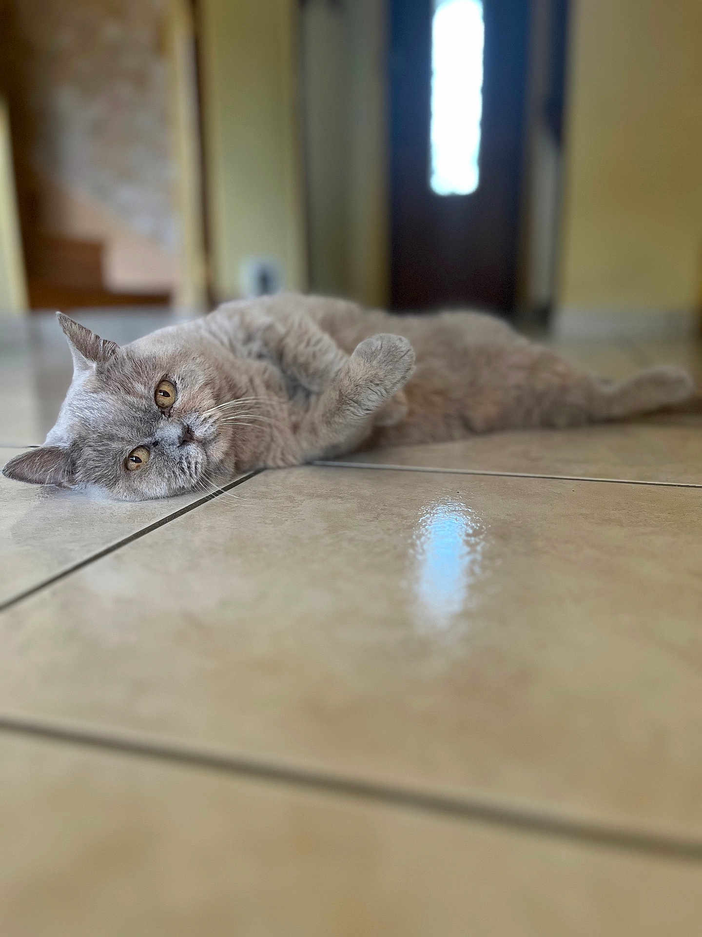 Mimi