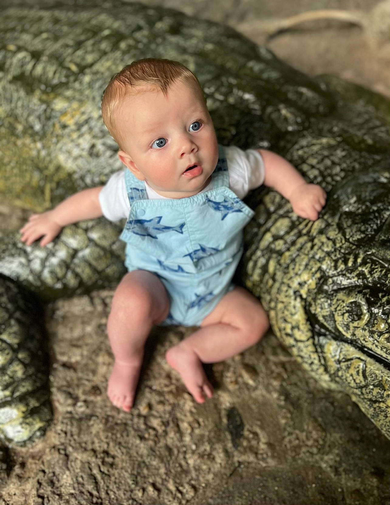 Westin is registered to the contest to win money with this photo: adaptation, baby, baby_toddler_clothing, eye, finger, flash_photography, floor, flooring, grass, happy, head, leaf, leg, mammal, people_in_nature, person, skin, surprise, t_shirt, toddler