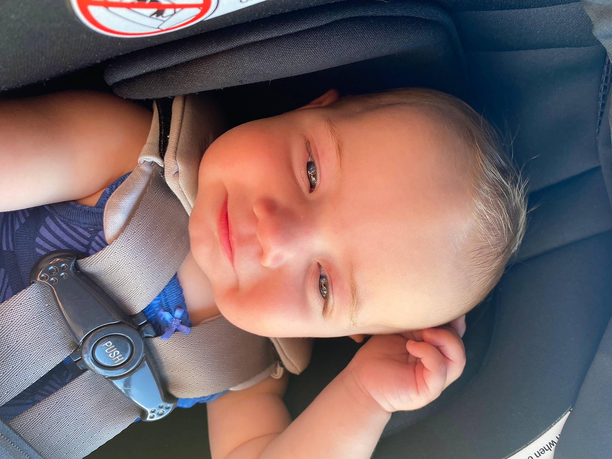 Hallie joined the competition — help win amazing prizes! baby, baby_carriage, baseball_cap, cap, car_seat, cheek, child, comfort, eyelash, facial_expression, finger, flash_photography, lip, mouth, nose, organ, person, product, skin, smile