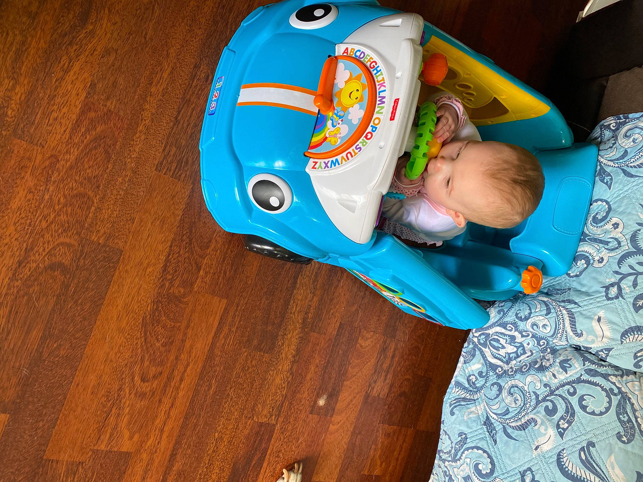 Kaitlyn joined the competition — help win amazing prizes! baby, baby_products, baby_toys, child, person, play, product, toddler