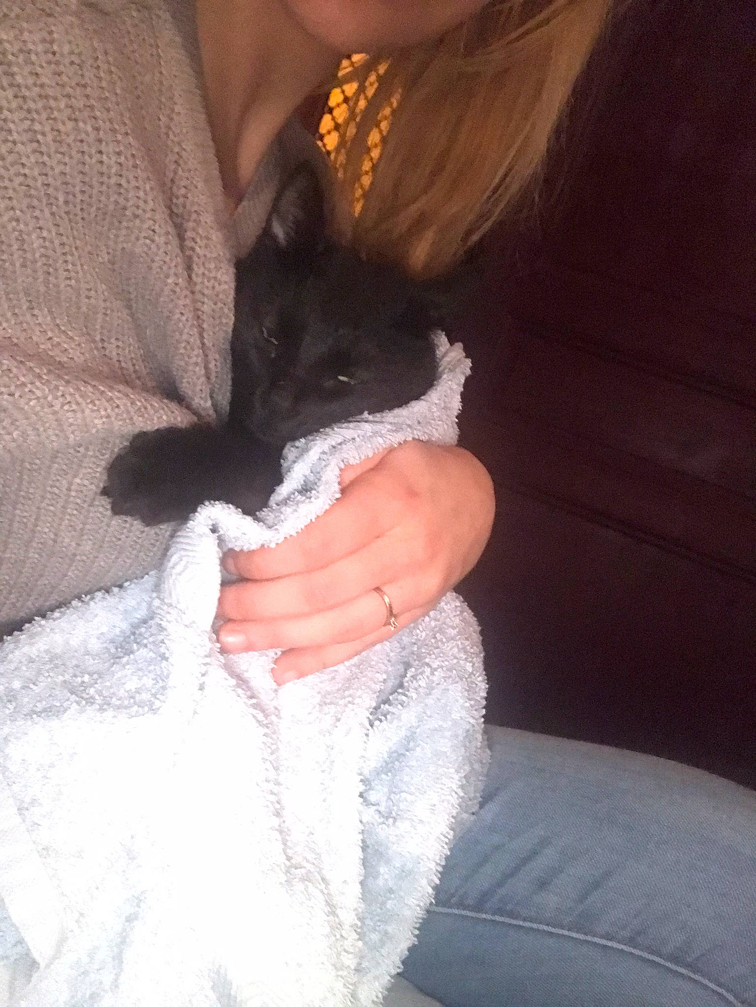 Nala a rejoint le concours — aidez-le/la à gagner de superbes lots ! ear, fawn, finger, hand, leg, muridae, rat, rodent