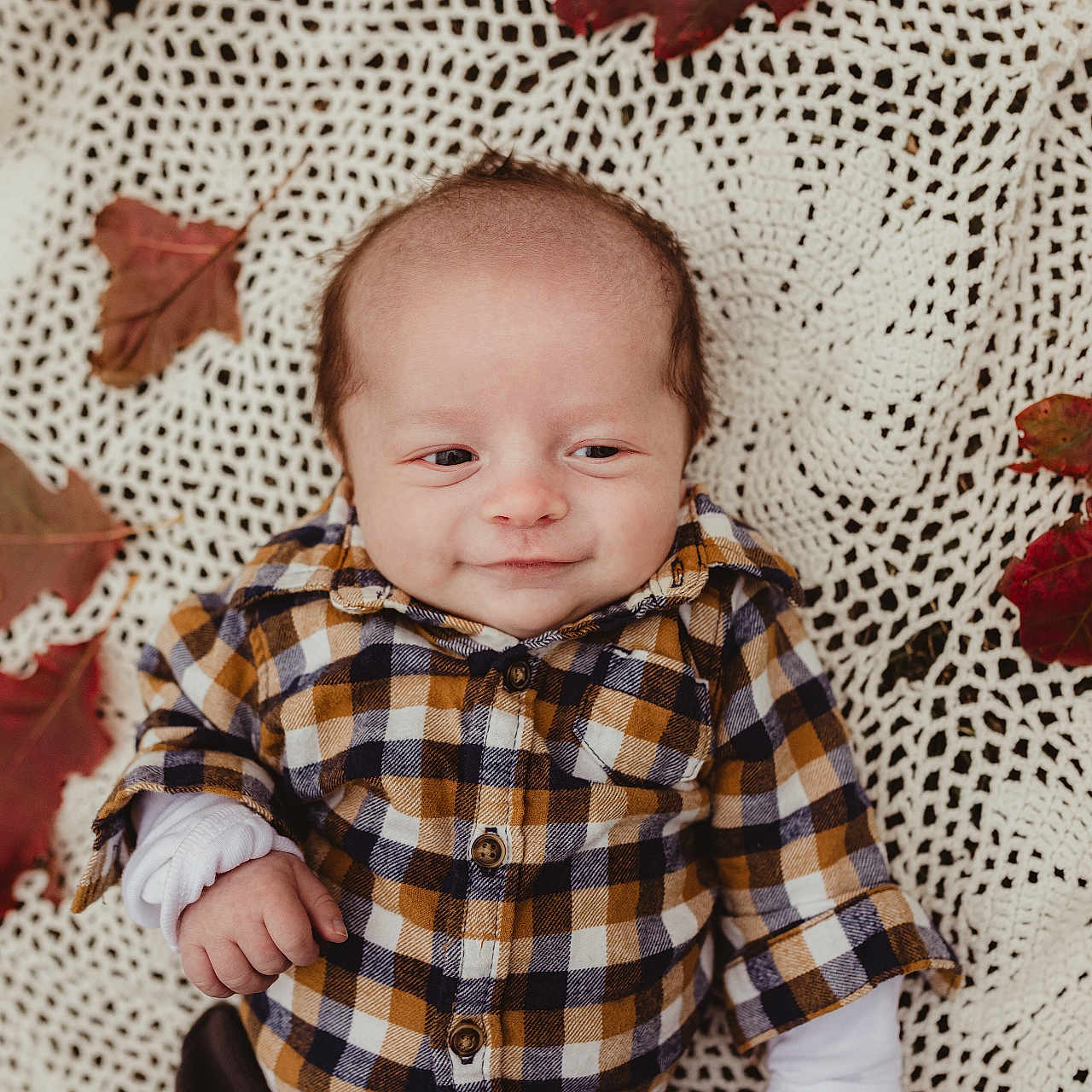 Rocky is registered to the contest to win money with this photo: autumn_leaves, baby, child, clothing, cozy, crocheted_blanket, cute, face, fall, hand, head, infant, lying_down, outdoor, pattern, plaid_shirt, portrait, smile, warm_colors, young