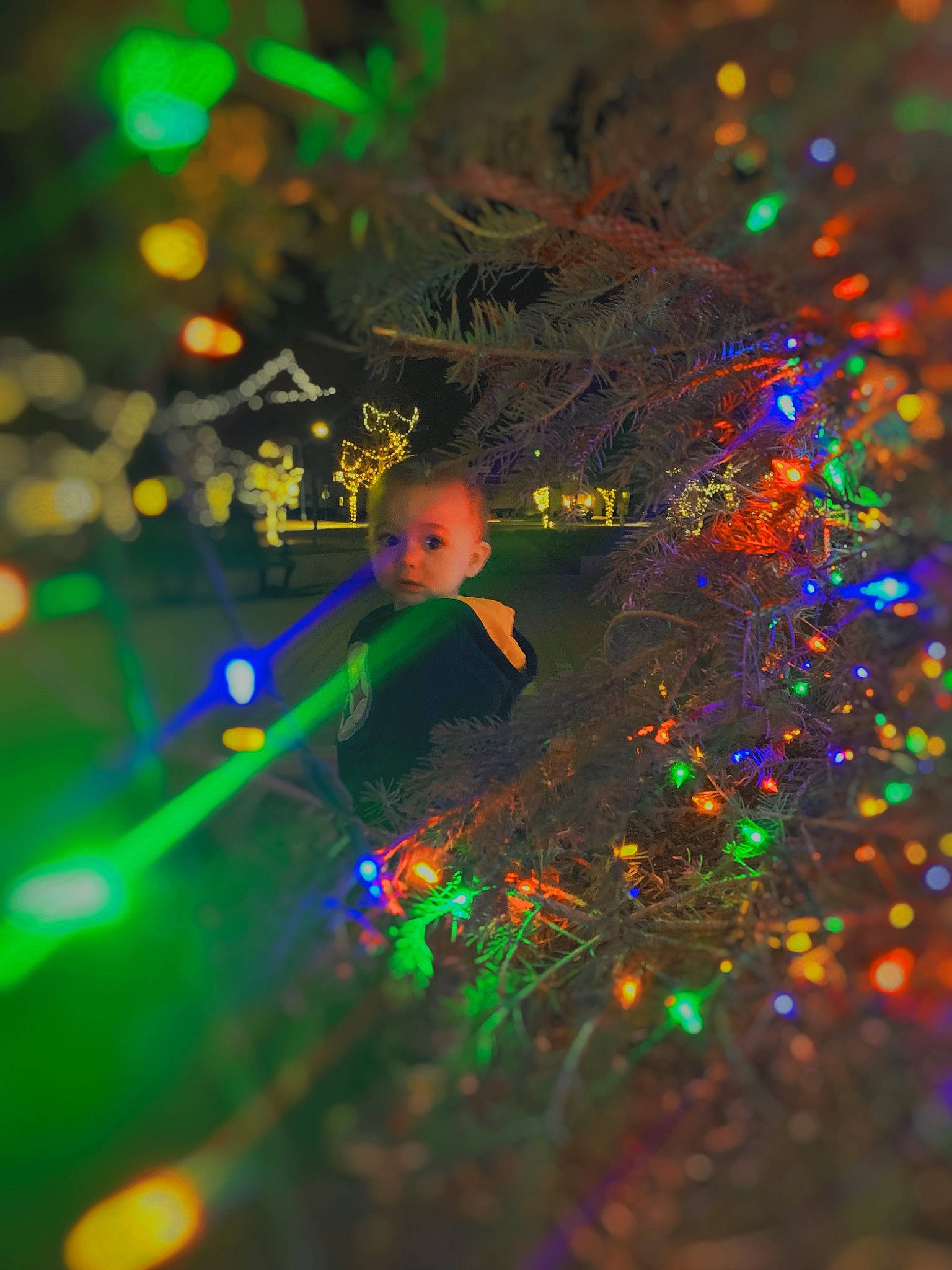 Korbyn joined the competition — help win amazing prizes! christmas, christmas_decoration, christmas_ornament, christmas_tree, darkness, electric_blue, electricity, entertainment, event, fun, holiday, nature, ornament, person, plant, purple, sky, space, technology, tree