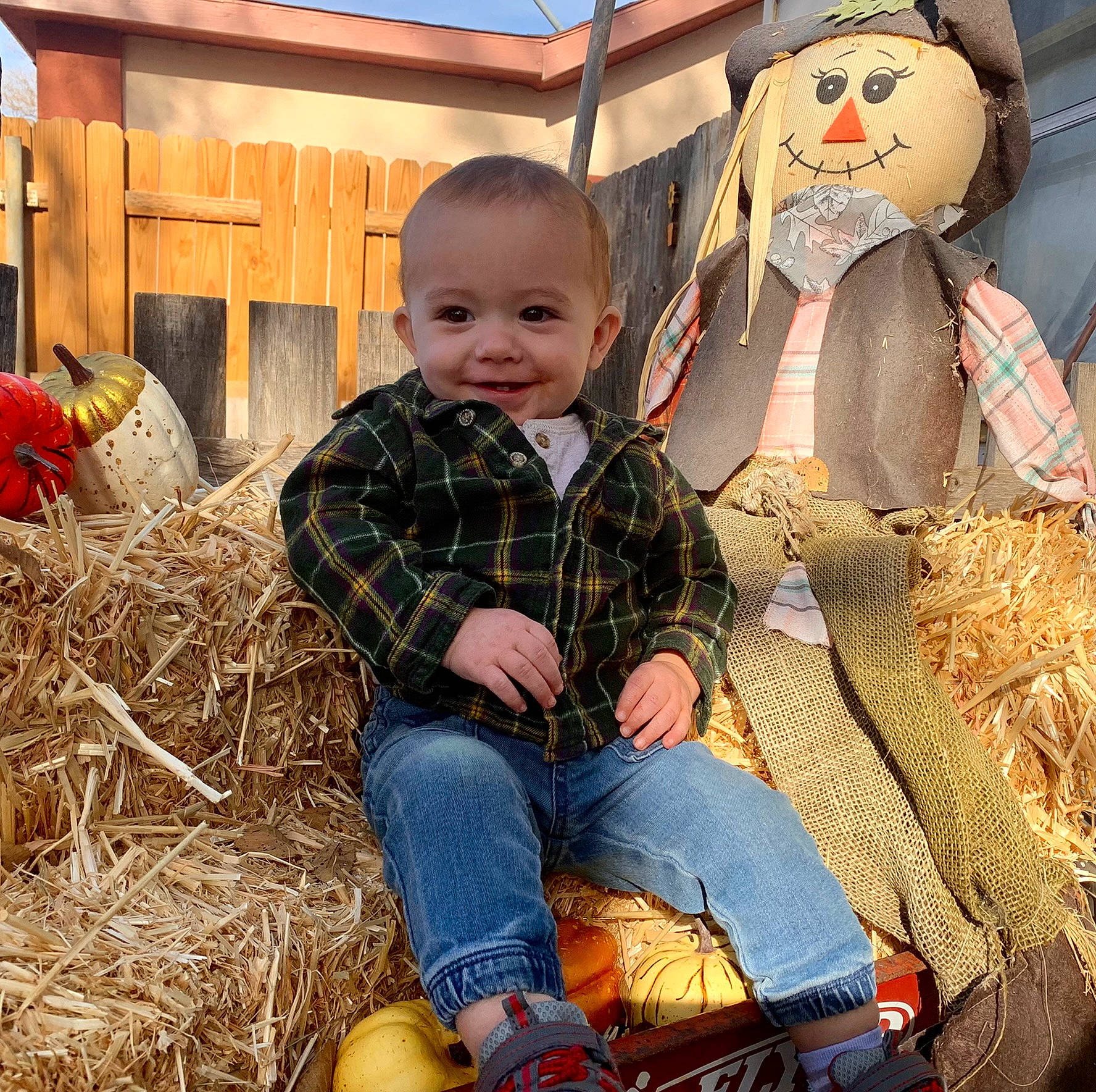 Korbyn is registered to the contest to win money with this photo: child, denim, doll, event, fun, grass, happy, hay, holiday, joy, pattern, people, people_in_nature, person, plaid, sitting, sky, smile, soil, toddler