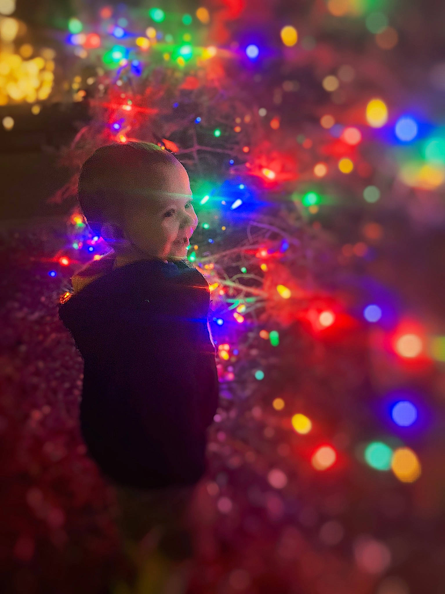Korbyn joined the competition — help win amazing prizes! christmas, christmas_decoration, christmas_ornament, christmas_tree, darkness, electric_blue, event, fun, happy, holiday, midnight, ornament, people_in_nature, person, plant, purple, sky, standing, toddler, tree