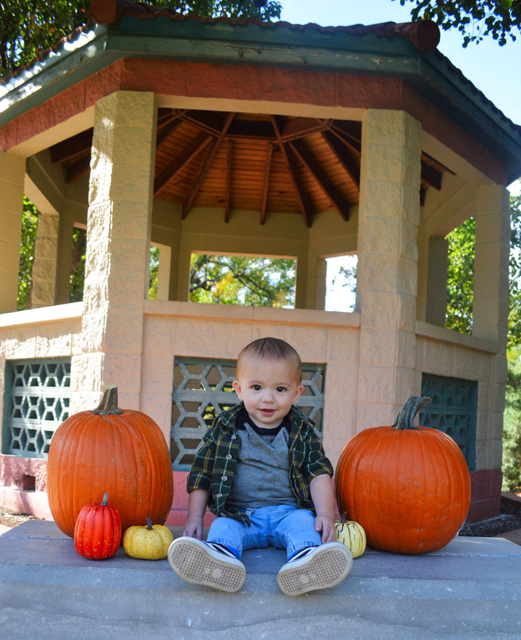 Korbyn is registered to the contest to win money with this photo: botany, calabaza, cottage, cucurbita, gourd, grass, leisure, local_food, nature, orange, person, plant, pumpkin, shorts, sky, squash, toddler, tree, vegetable, winter_squash