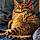 Tibbs