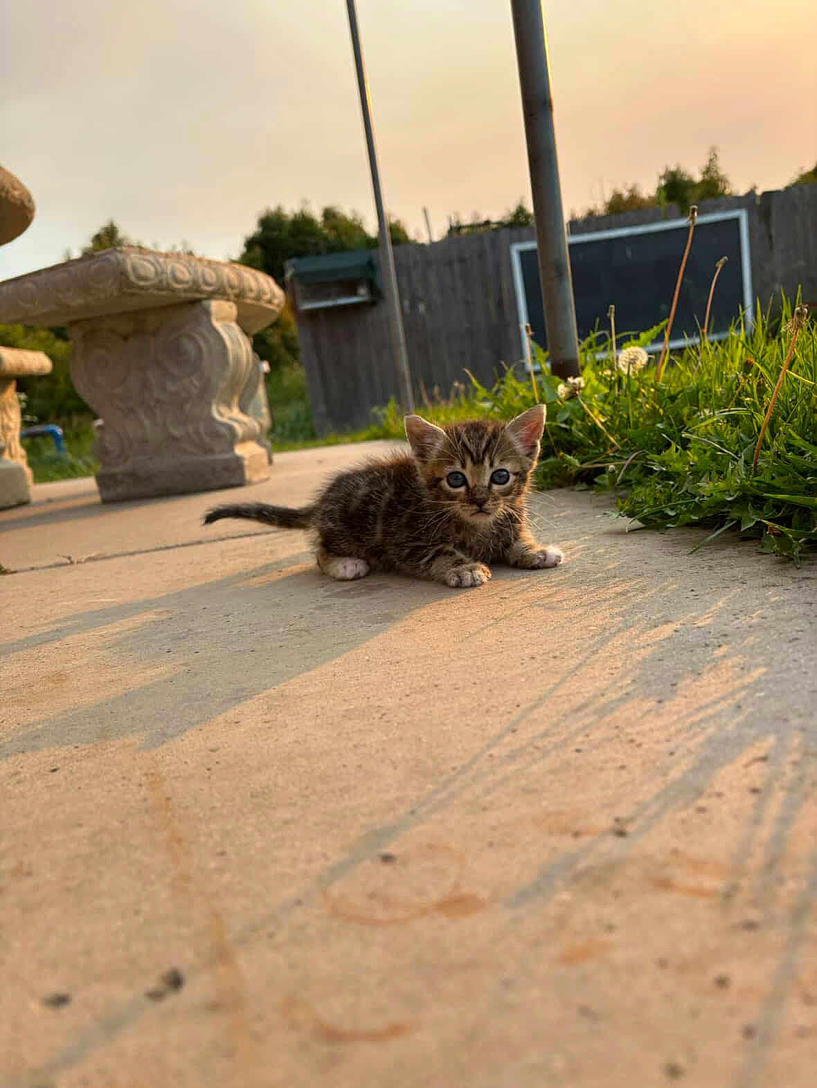 Nacho