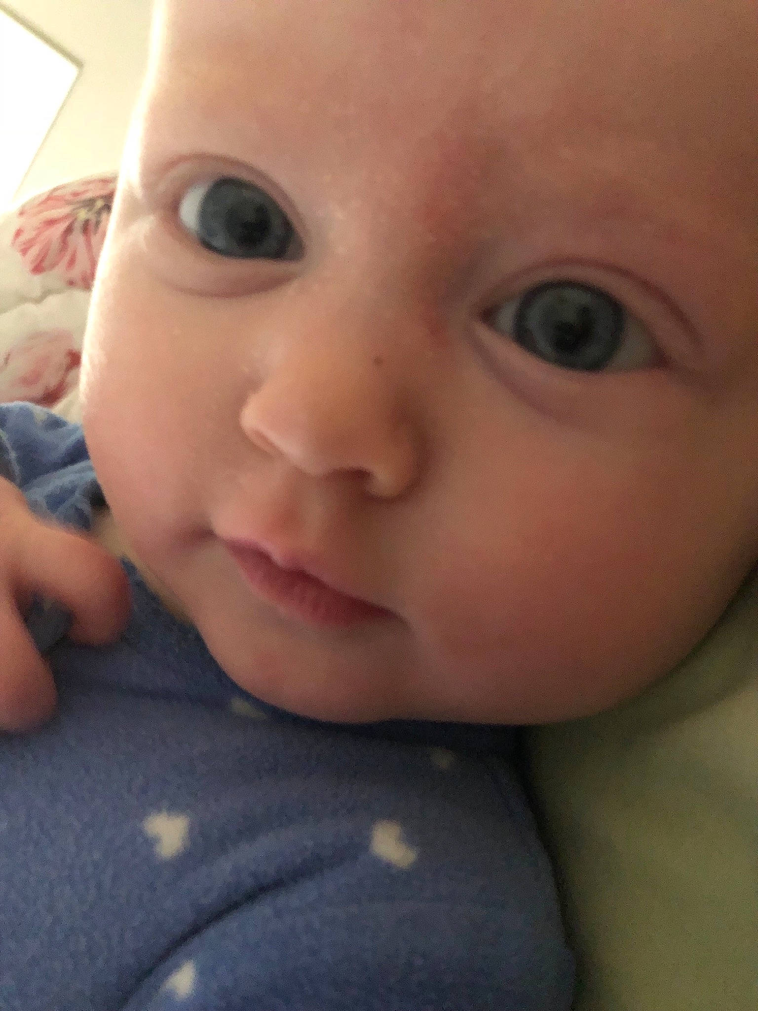 Austyn is registered to the contest to win money with this photo: baby, cheek, child, chin, close_up, ear, eye, eyebrow, eyelash, face, forehead, head, iris, lip, mouth, nose, person, skin, smile, toddler