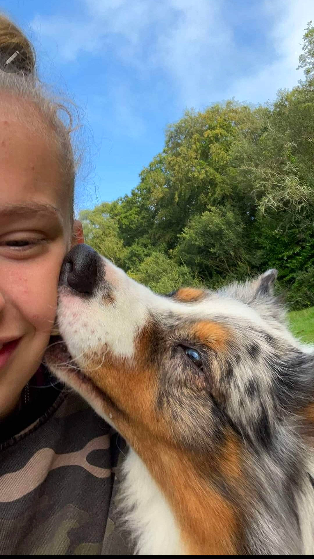 Smoky a rejoint le concours — aidez-le/la à gagner de superbes lots ! canidae, carnivore, cloud, companion_dog, dog, dog_breed, fawn, happy, herding_dog, jaw, plant, sky, smile, snout, sporting_group, sunglasses, terrestrial_animal, tree, whiskers, working_animal