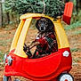 adventure, animal, christmas_tree, cute, dog, forest, green, holiday, nature, outdoor, pet, pine_needles, plaid_shirt, playful, red, seasonal, toy_car, vehicle, winter, yellow