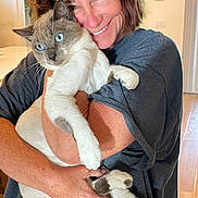 Romeo is registered to the contest to win money with this photo: person, cat, siamese_cat, blue_eyes, hug, smile, indoor, home, wall_art, scrabble_tiles, short_hair, casual_clothing, wooden_floor, light, face, arms, feline, pet, comfort, affection