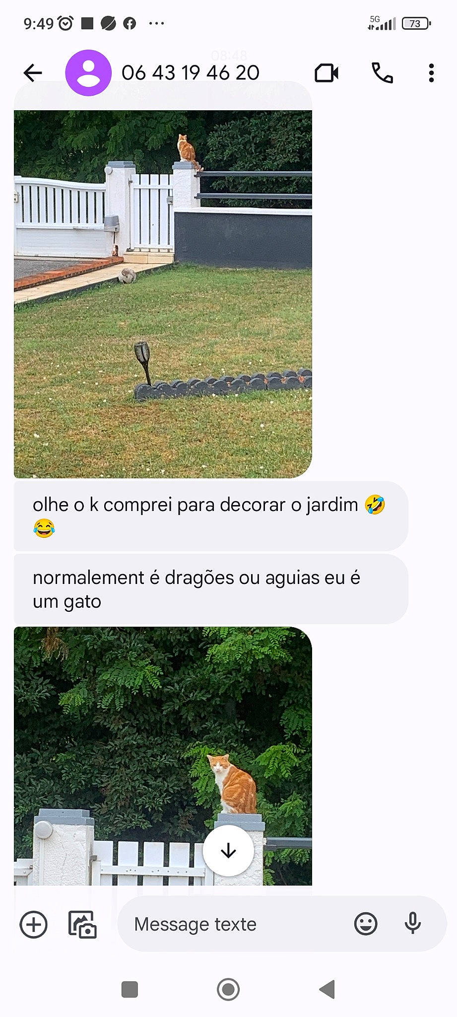 Tempête participe au concours pour gagner de l'argent avec cette photo : adaptation, bench, font, grass, grassland, green, groundcover, landscape, lawn, line, mammal, natural_landscape, nature, plant, rectangle, screenshot, shrub, terrestrial_plant, vertebrate, wildlife