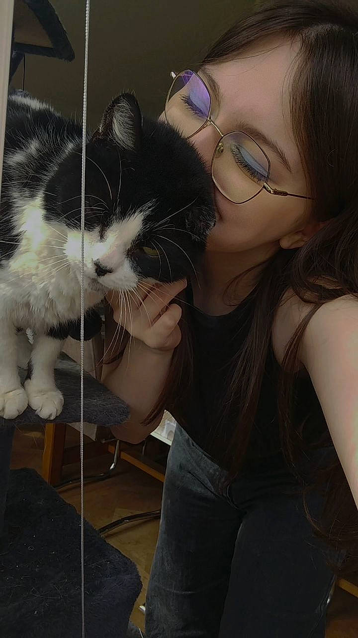 Noxy a rejoint le concours — aidez-le/la à gagner de superbes lots ! carnivore, cat, comfort, eye, eyebrow, eyelash, eyewear, felidae, finger, gesture, glasses, hand, happy, jaw, leg, mouth, organ, shoulder, small_to_medium_sized_cats, vision_care