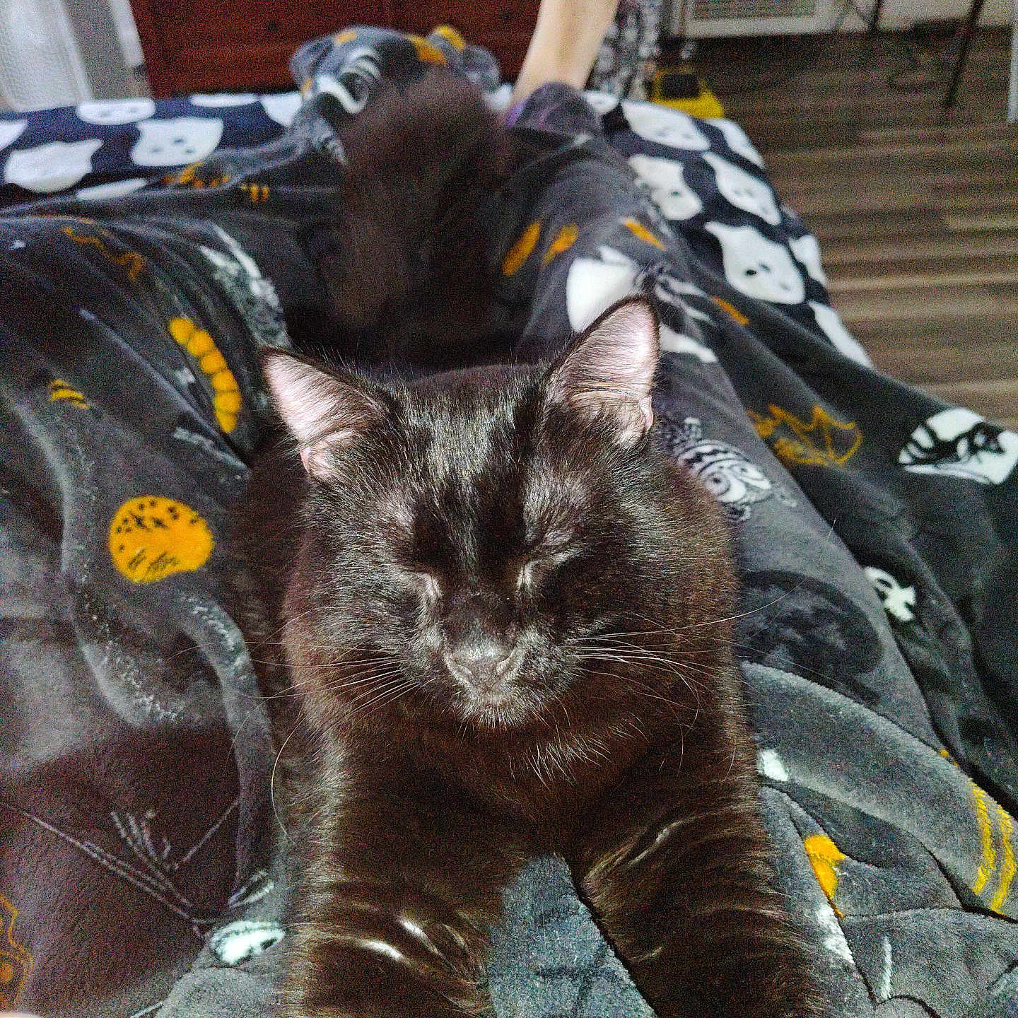 Gus