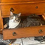 cat, tabby_cat, drawer, wooden_furniture, dresser, floor, tile_floor, toy_mouse, shoe, pet, indoor, curious, resting, feline, domestic_cat, orange_eyes, striped_fur, cozy, household, relaxed