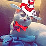 cat, white_cat, couch, blanket, blue_blanket, digital_overlay, hat, bow_tie, pet, indoor, feline, cozy, relaxing, cute, animal, whiskers, ears, collar, bell, soft_lighting