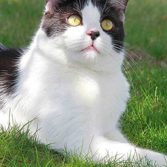 Banjo is registered to the contest to win money with this photo: