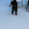 Kobe joined the competition — help win amazing prizes! backyard, black_fur, chair, chair_leg, cold, collar, curly_fur, dog, footprints, low_light, metal_chair, outdoor, patio, paws, pet, snow, standing, tag, textured_snow, winter
