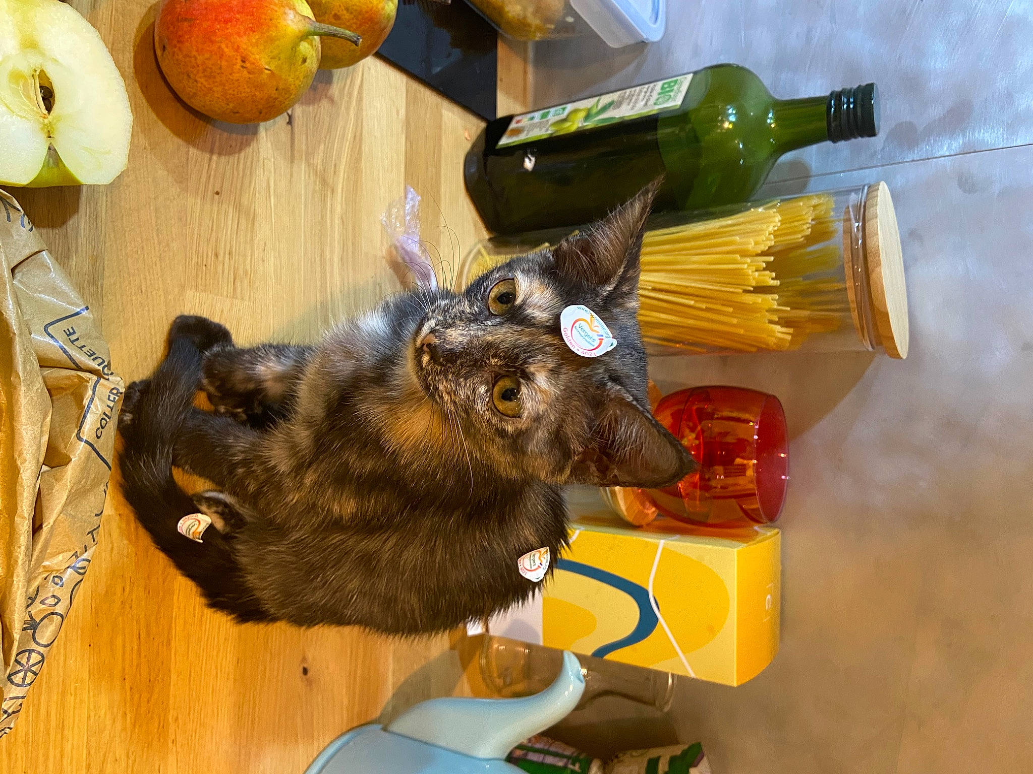 Artemis participe au concours pour gagner de l'argent avec cette photo : bottle, claw, domestic_short_haired_cat, fruit, fur, glass_bottle, malus, natural_foods, produce, tableware, toy, wine, working_animal, yellow