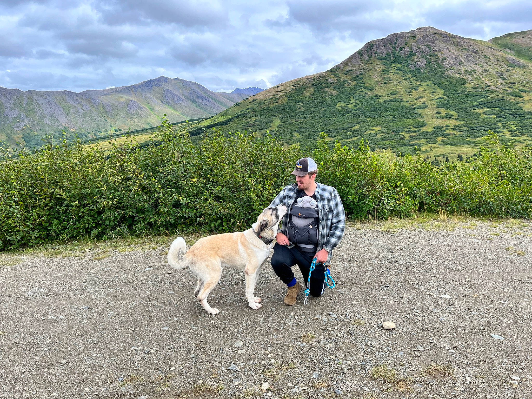 Diablo joined the competition — help win amazing prizes! adventure, carnivore, cloud, companion_dog, dog, dog_breed, fawn, grassland, hill, landscape, leisure, mountain, mountain_range, people_in_nature, plant, recreation, sky, sporting_group, trail, working_animal