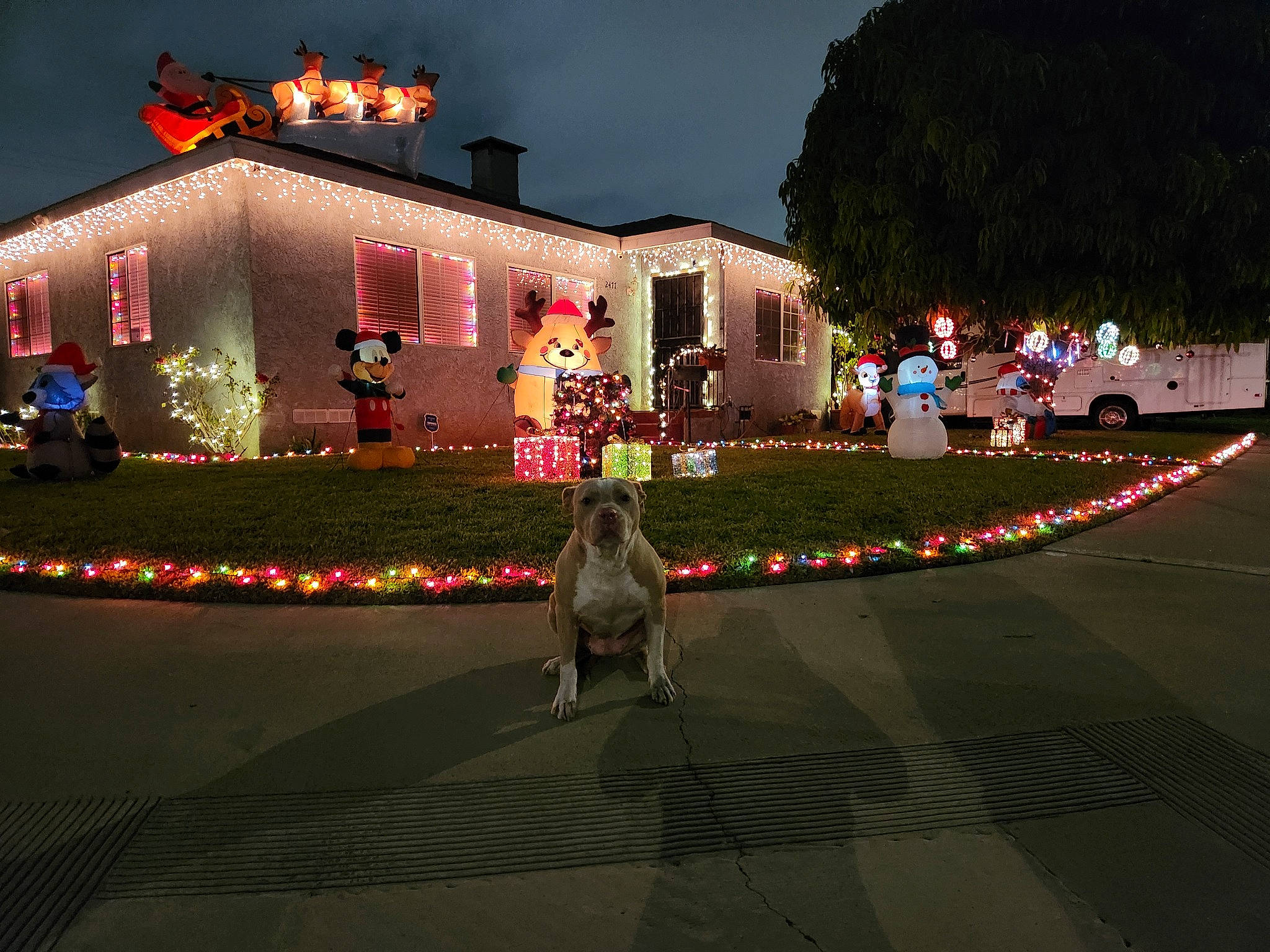 Hazel is registered to the contest to win money with this photo: asphalt, building, christmas, christmas_decoration, christmas_eve, darkness, event, facade, holiday, house, interior_design, landscape_lighting, midnight, night, plant, road_surface, sky, tradition, tree, window