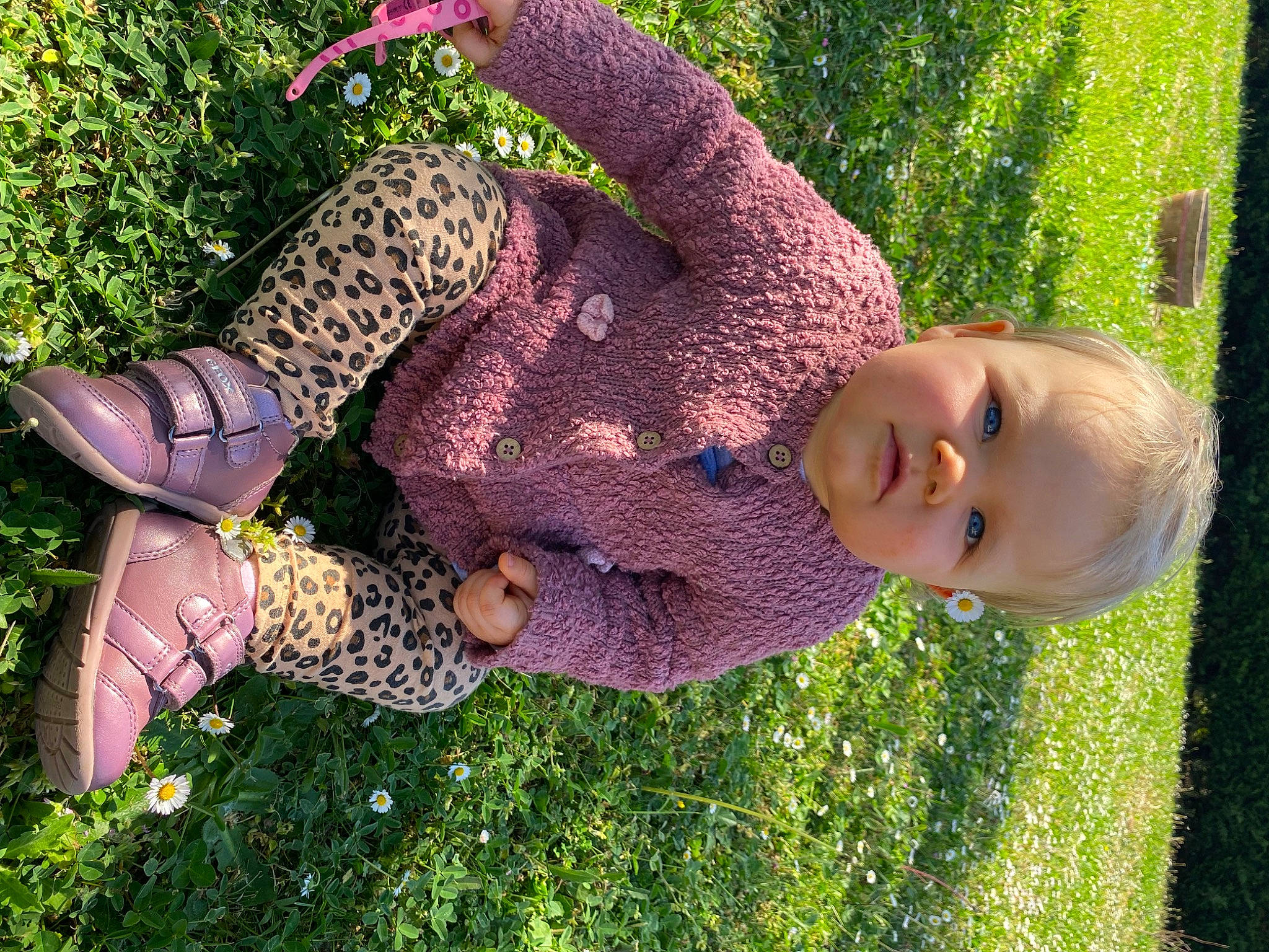 Giuliana a rejoint le concours — aidez-le/la à gagner de superbes lots ! baby_toddler_clothing, child, fun, grass, grass_family, grassland, green, happy, human_leg, leaf, meadow, pattern, people_in_nature, person, plant, purple, smile, spring, terrestrial_plant, thigh