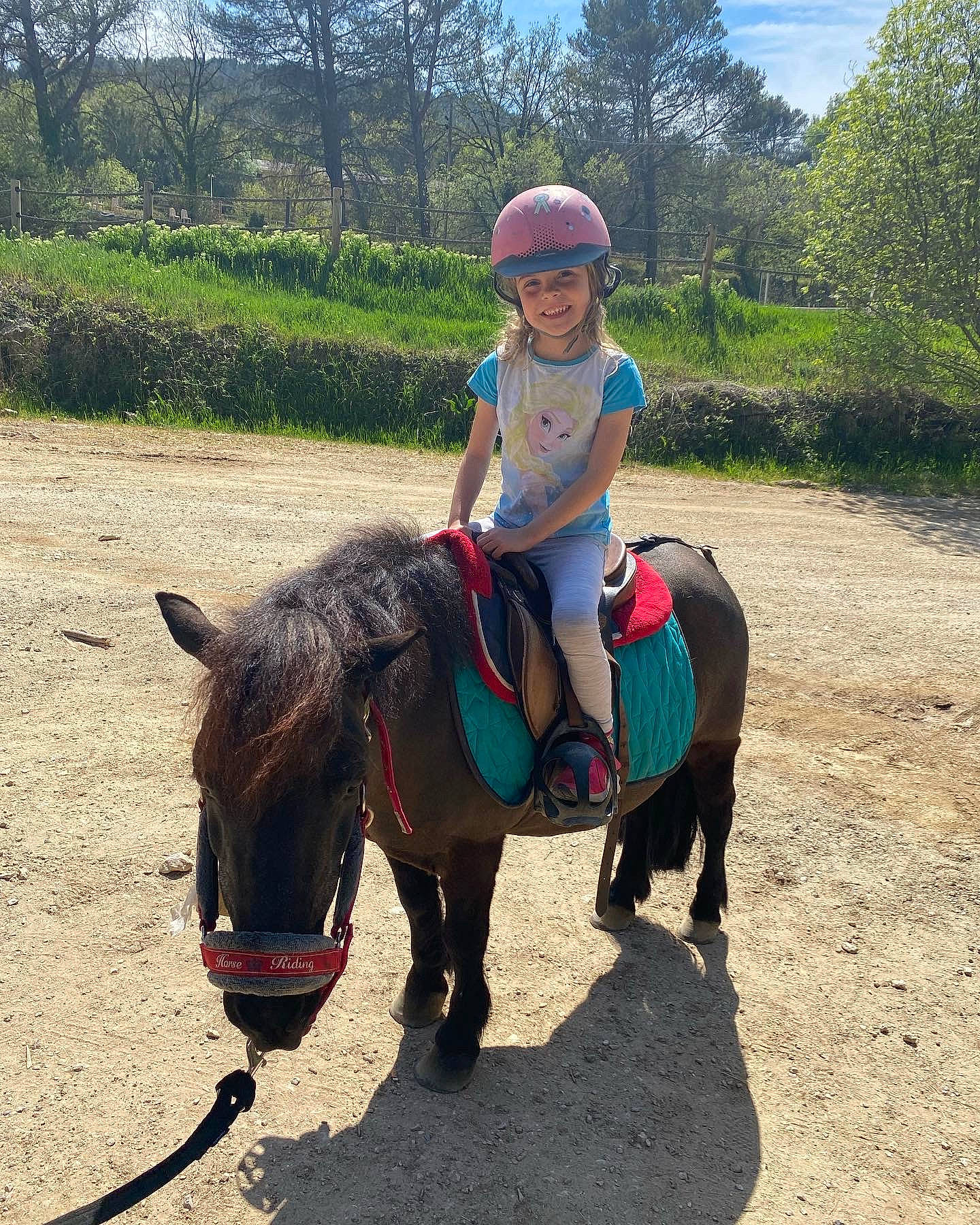 Jade a rejoint le concours — aidez-le/la à gagner de superbes lots ! bit, bridle, equestrian_sport, equestrianism, headwear, horse, horse_supplies, horse_tack, joy, landscape, livestock, mane, pack_animal, person, plant, recreation, rein, saddle, sky, smile