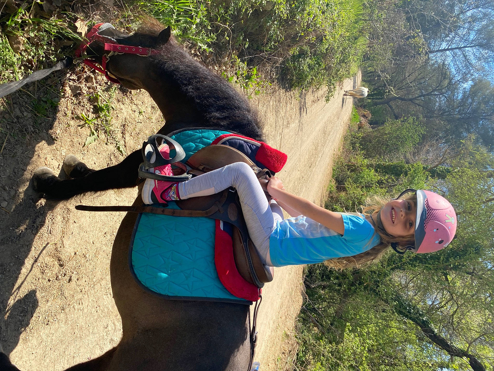 Jade participe au concours pour gagner de l'argent avec cette photo : adventure, arm, carnivore, cool, dog, dog_breed, electric_blue, fun, grass, happy, hat, headwear, joy, leisure, magenta, people_in_nature, person, plant, recreation, tail